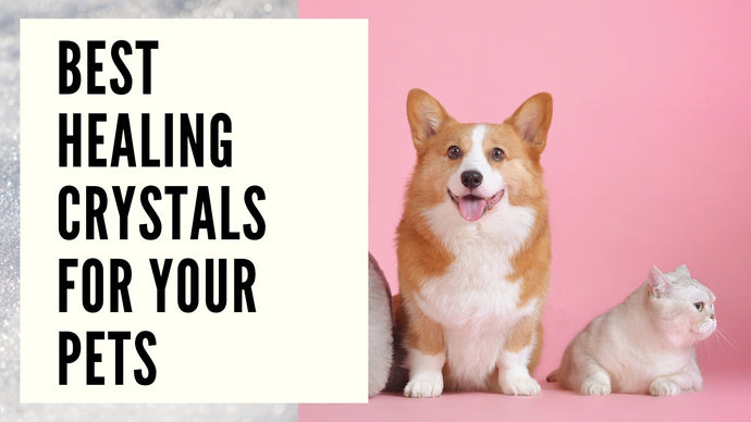 Best Healing Crystals for your Pets