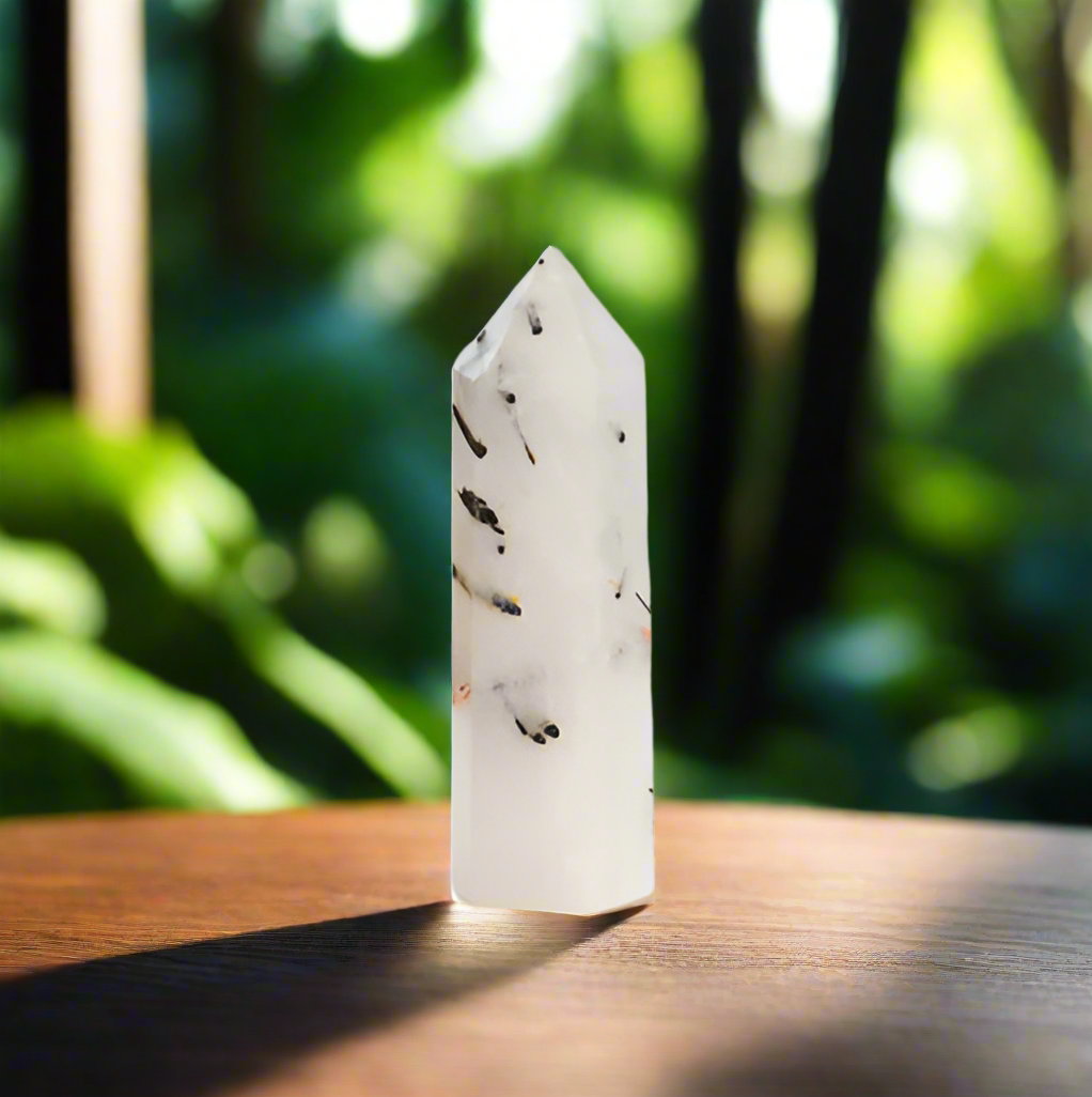 Black Rutilated Quartz Crystal Point 8-9 cm